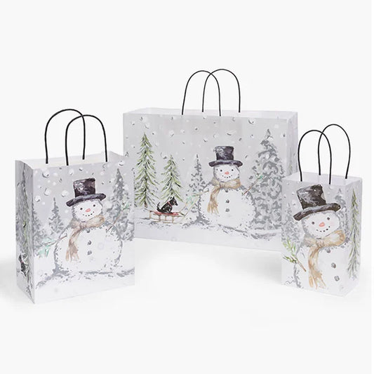 Paper Gift Bags with Matching Tissue Paper